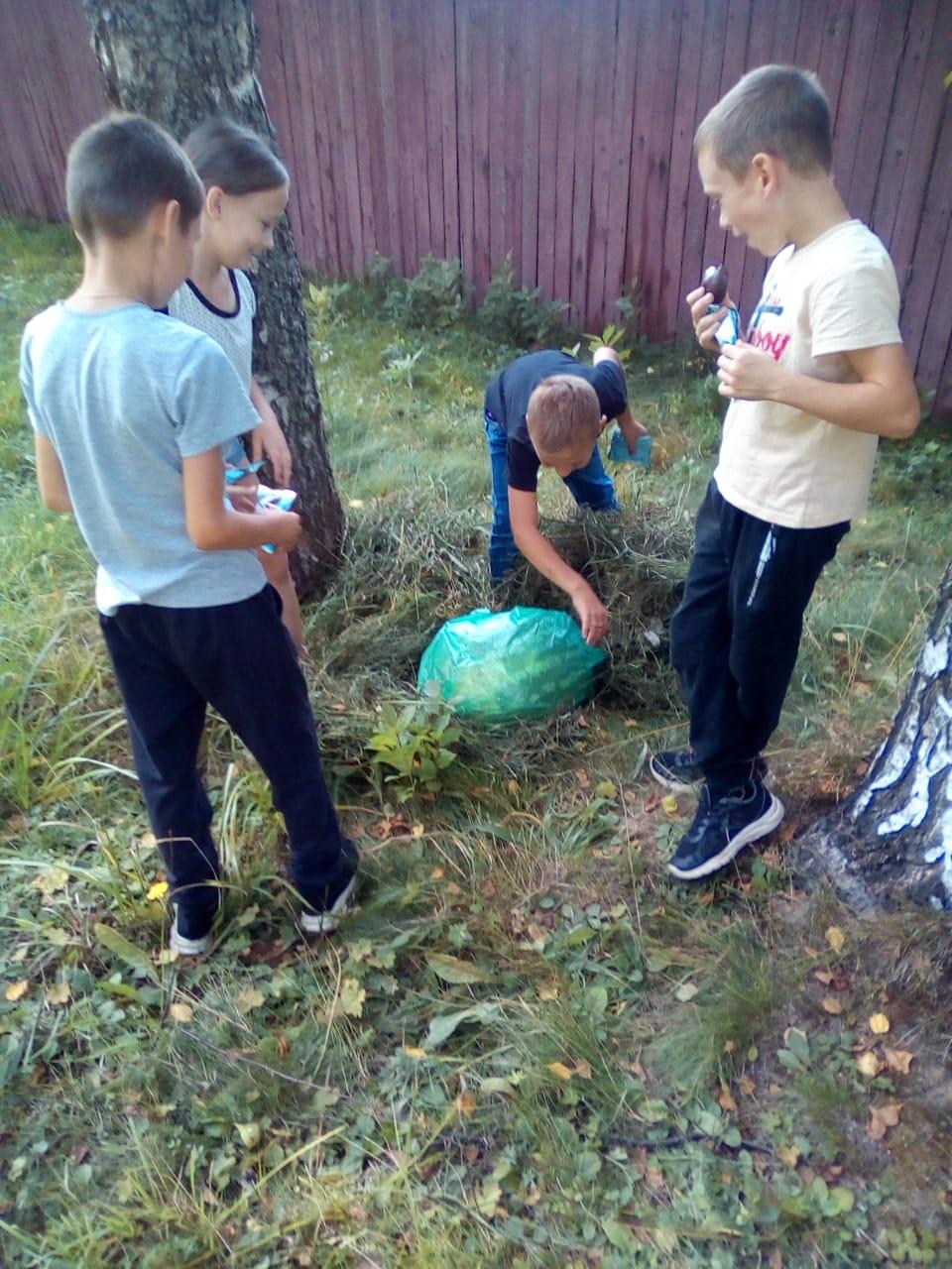 Волшебное дерево