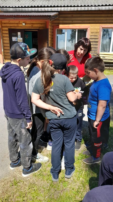 У дачный квест