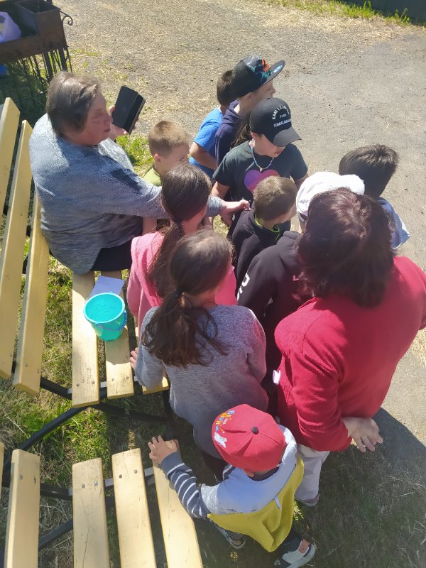 У дачный квест